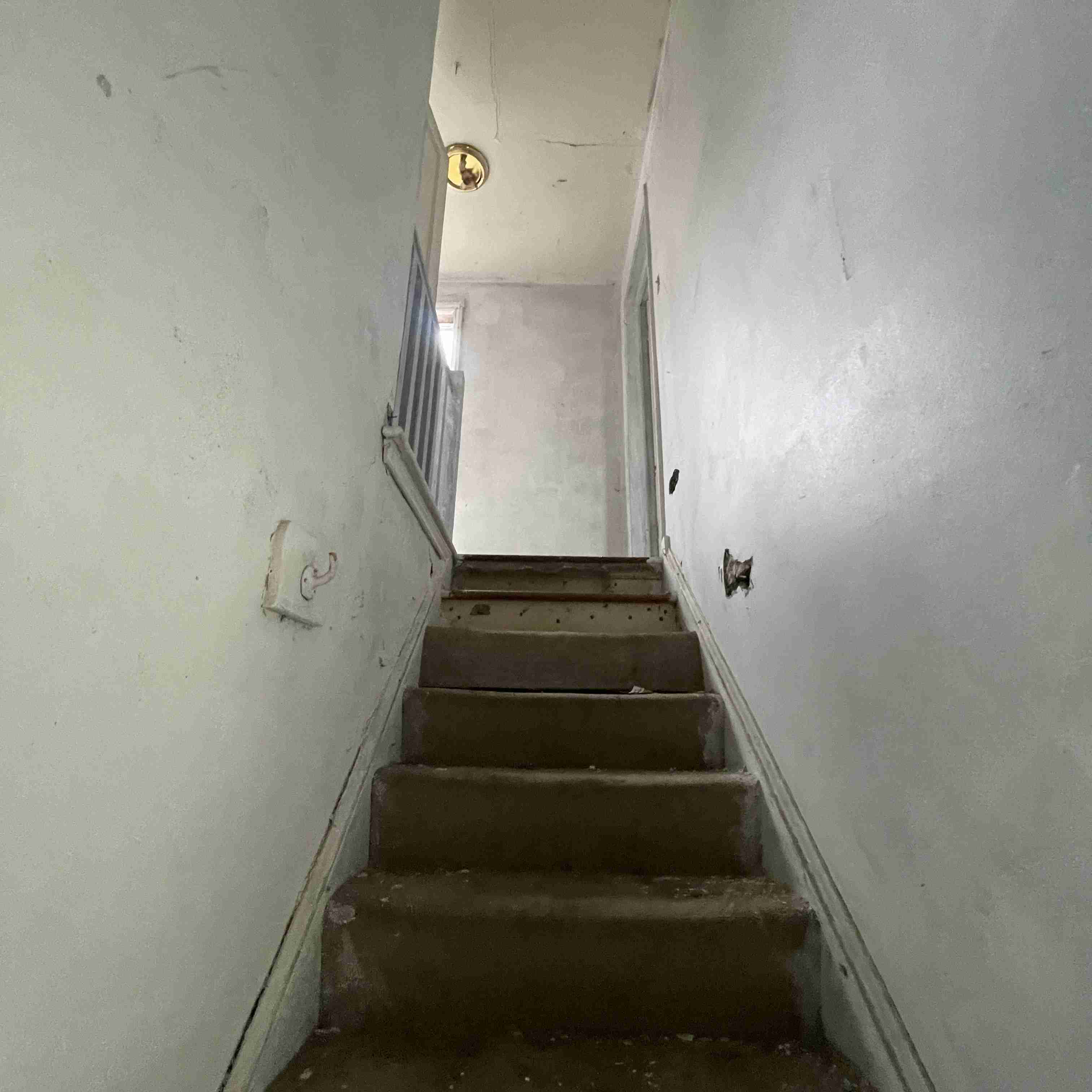 20017 Schoenherr (78).jpg